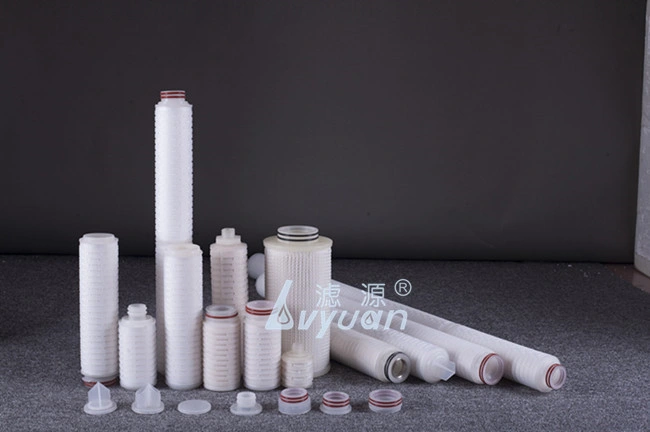 Micron PTFE Membrane Pleated Filter PTFE Cartridge Filter with 222 Ss