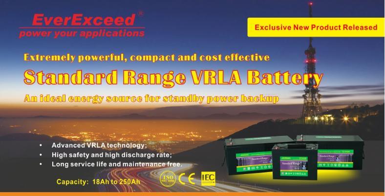 Everexceed 6V60ah VRLA Lead Acid AGM UPS Industrial Storage Battery