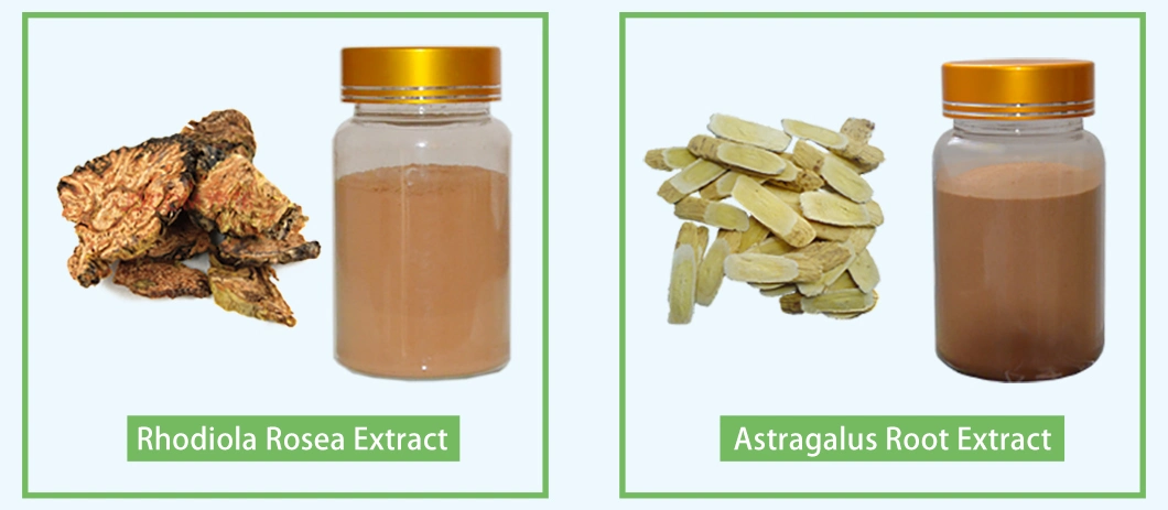 Rhus Chinensis Extract 40% Ellagic Acid Extracted From Gallnut