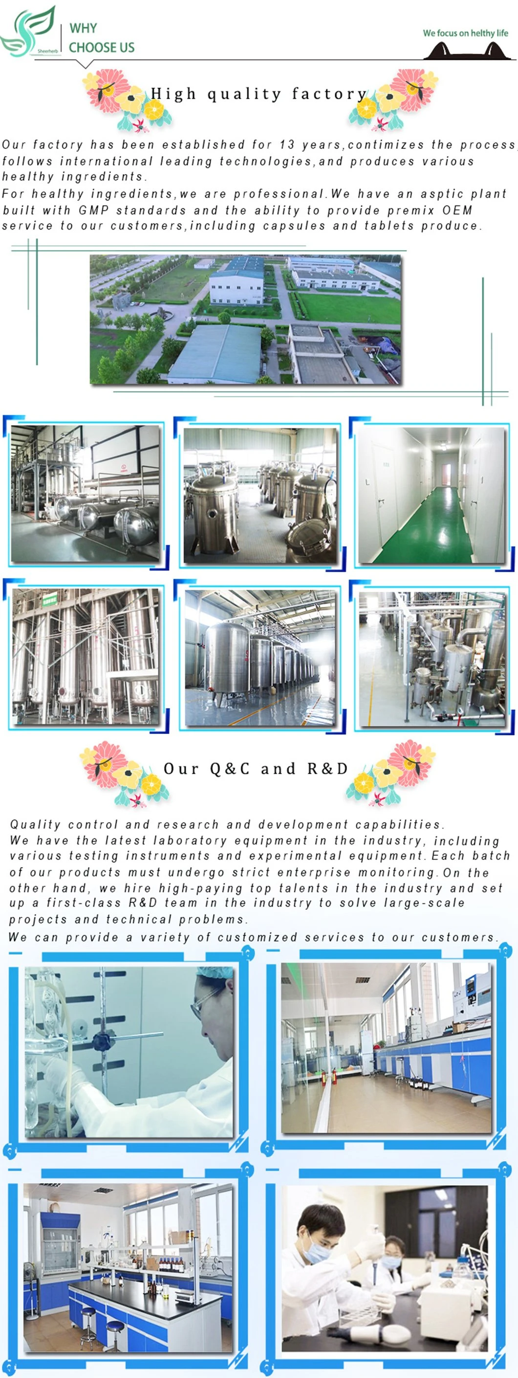 OEM Hot Sale Pharmaceutical Raw Materials Pregabalin / Treatment Antiepileptic Drugs CAS 148553-50-8