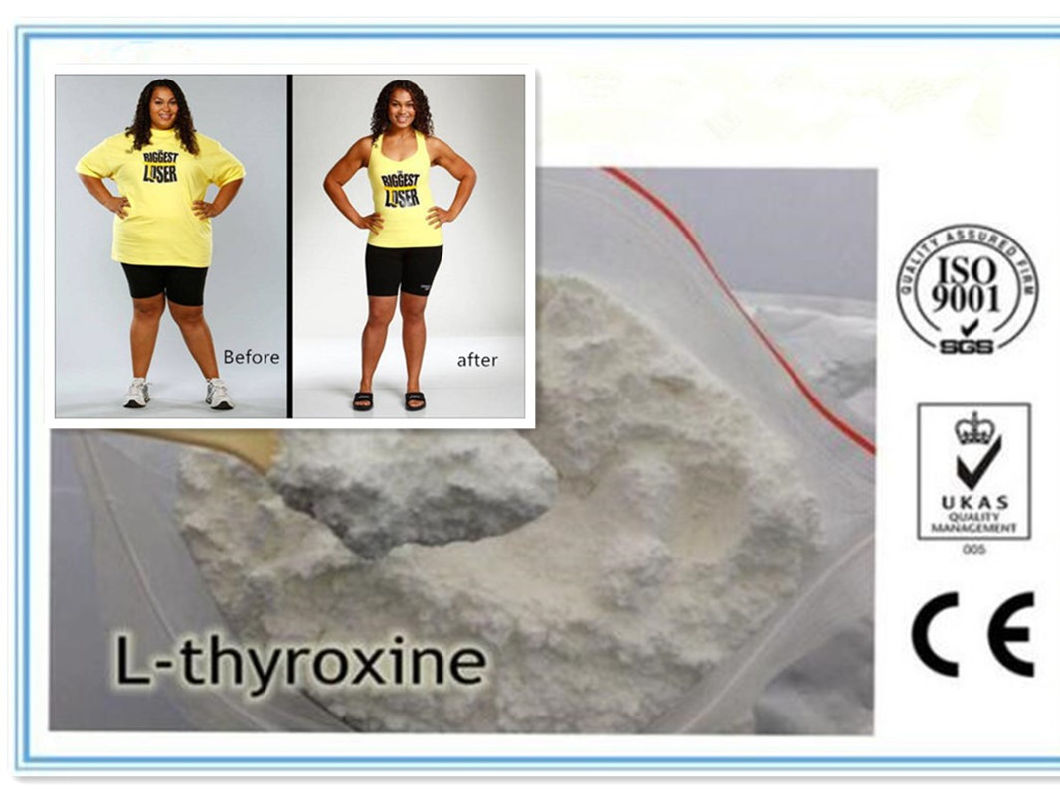 Pharmaceutical Raw Materials Levothyroxine Sodium T4 for Weight Loss