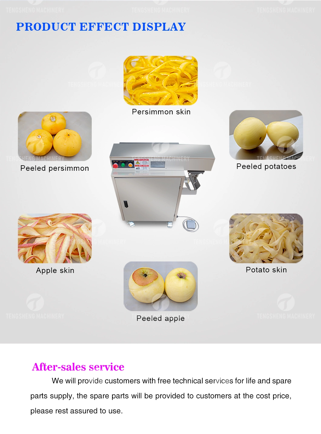 Persimmon Peeling Machine Peeler Potato Skiving Machine Food Processor (TS-P18S)