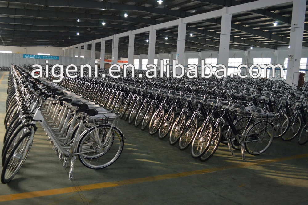 High Quality Bafang Central System Electric Bicycle E Bike