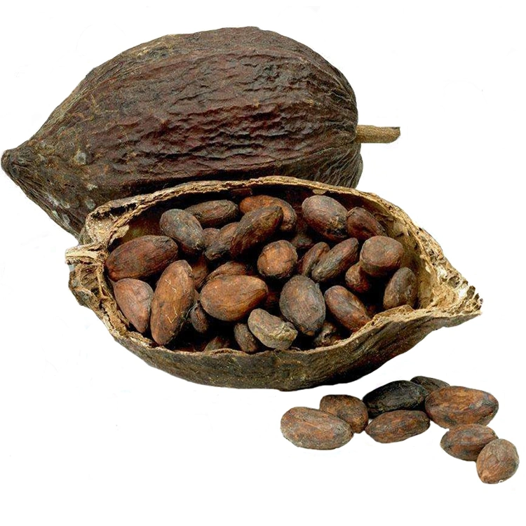 Natural Cocoa Powder Cocoa Powder Extract Black Cocoa Powder