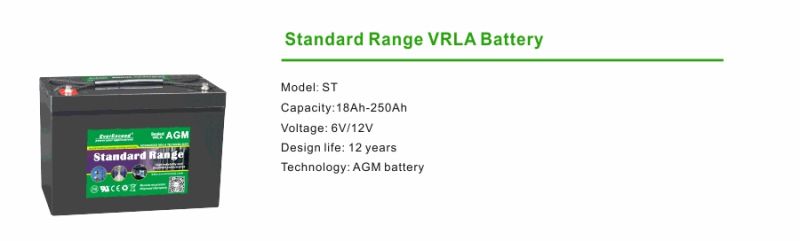 Everexceed 6V60ah VRLA Lead Acid AGM UPS Industrial Storage Battery