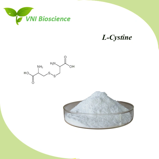 ISO Certified Amino Acid L-Cystine CAS No. 56-89-3