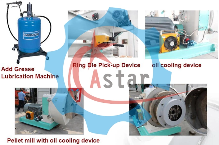 Automatic Lubrication Oil Cooling Device Poultry Feed Mills