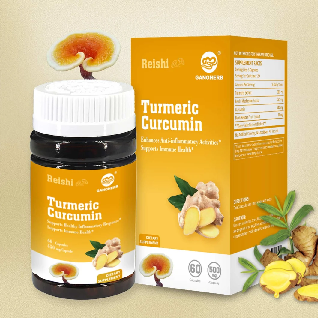 OEM Dietary Supplement Private Label Organic Turmeric Curcumin Capsules Manufacturer in China