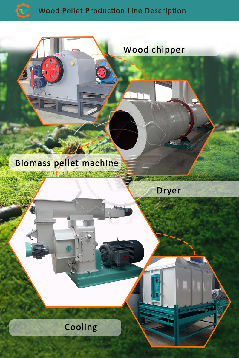 Automatic Lubrication Ring Die Sawdust Biomass Pellet Machine
