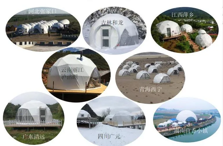 8m Geodesic Dome Tent PVC Dome Tent