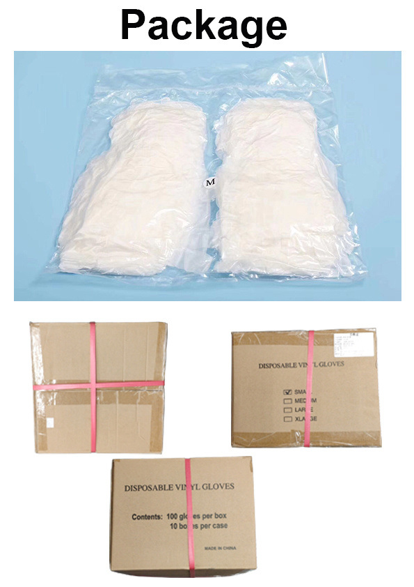   100PCS] Intco Disposable PVC Gloves   Usage Daily Usage Vinly