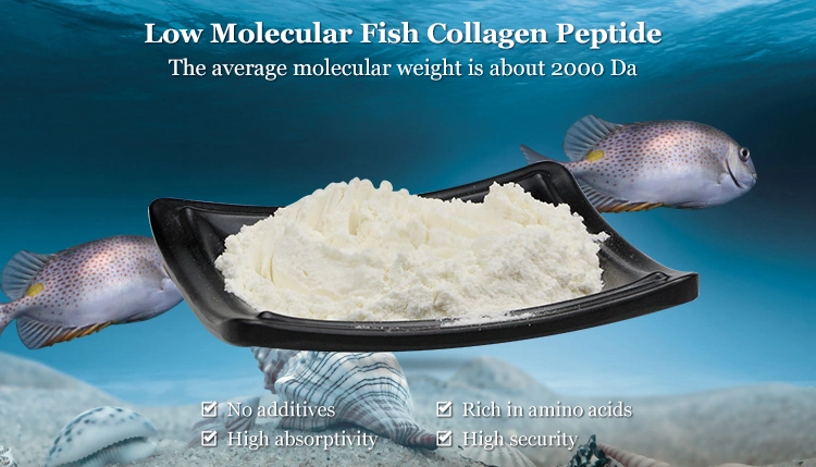 Hot Sale Recommendation Finely Processed High Purity Soybean Collagen Peptide Made in China