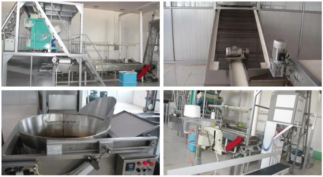 Delicious Bulk Sell All Kinds of Dried Fruits Preserved Fruits Dehydrated Fruits