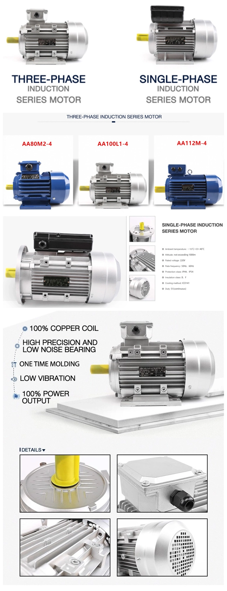 Three/Single Phase 220V 380V 415V 440V Electric Motors Engine for Water Pump