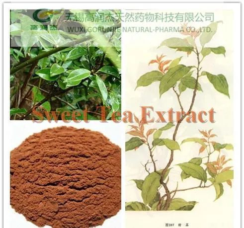 Flagship Products Sweet Tea Extract/Rubusoside & Polyphenol
