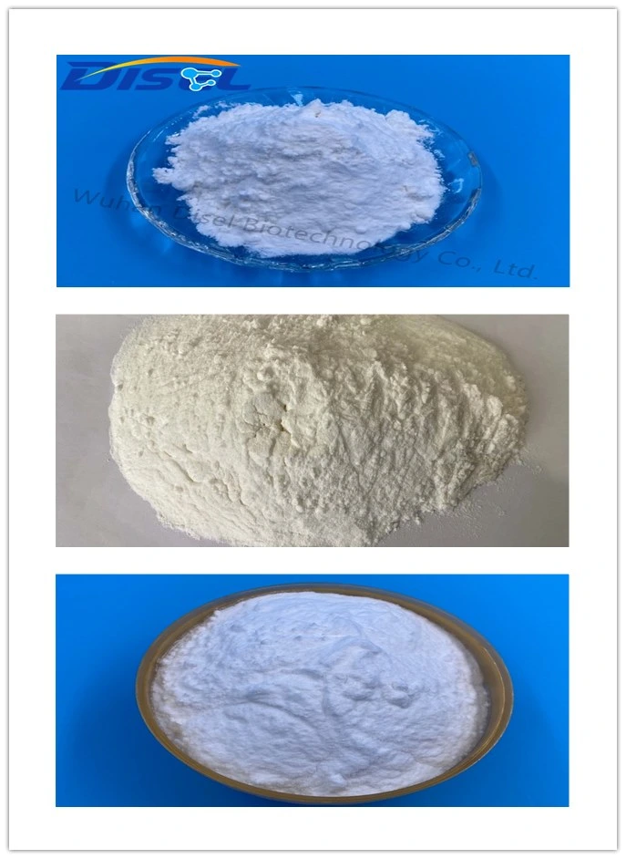 Feed Grade Powder Materials L-Leucine CAS: 61-90-5 with Safe Delivery