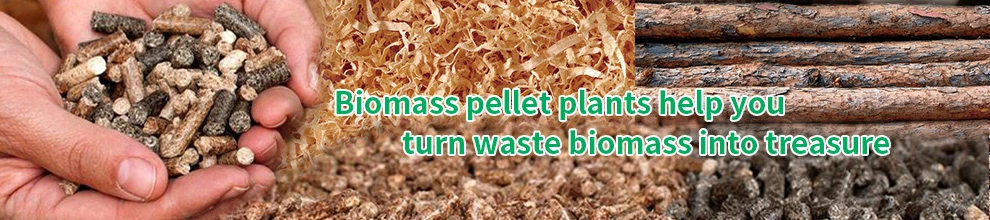 1t/H-5t/H Biomass Fuel Wood Sawdust Pellet Production Line
