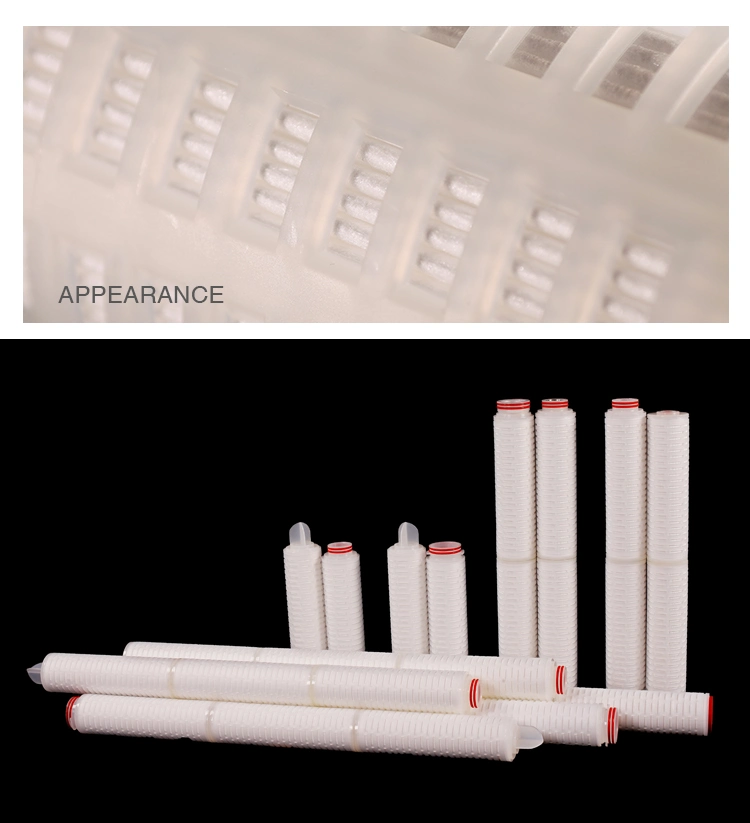 Darlly Hydrophilic PTFE Membrane Filter Cartridge for Strong Causticity Liquid Strong Oxidizing Property Liquid