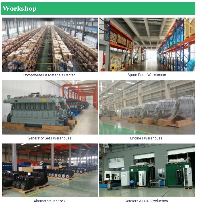 Iron Alloy Gas Generator/Blast Furnace Gas Generator/Semi-Coke Gas Generator/Oil Shale Gas Generator/Calcium Carbide Gas Generator