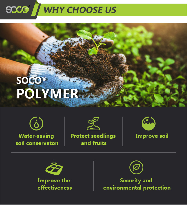 Soco Polymer Biodegradable Super Absorbent Polymer for Vegetable Gardening