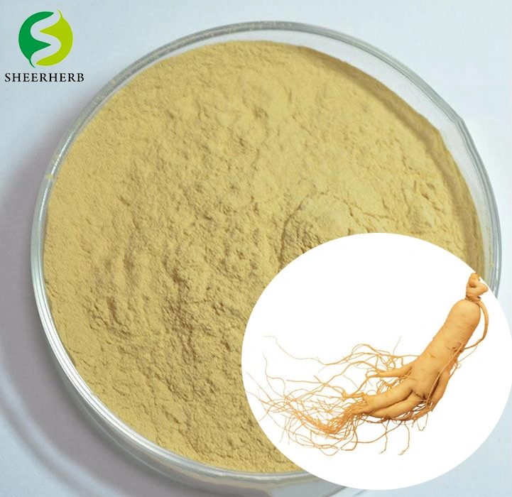 Sheerherb Top Quality Herbal Extract Ginsenoside10%~80% Panax Ginseng Root Extract