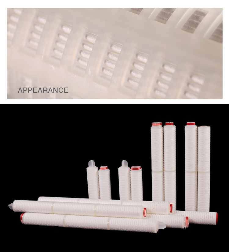 Darlly Hydrophobic PTFE Double Layer Membrane Filter Cartridge for Pharmaceutical Industry