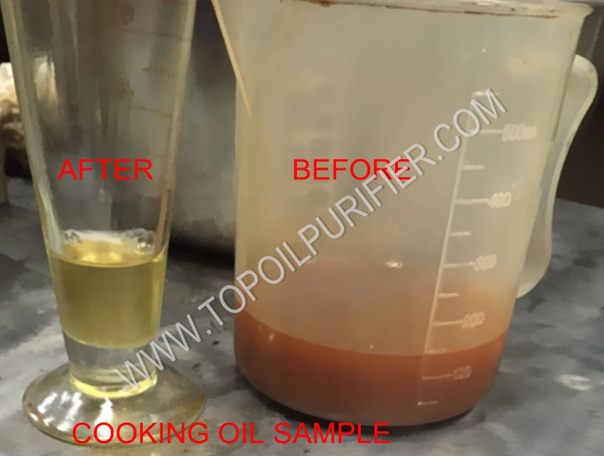 China Made Stainless Steel High Vacuum Coconut Oil Decoloration Purification (TYR-50)