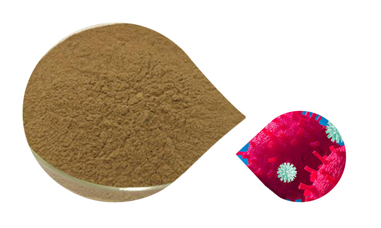Click Natural Reishi Mushroom Powder, Ganoderma Lucidum Powder, 100mesh Linzhi Powder
