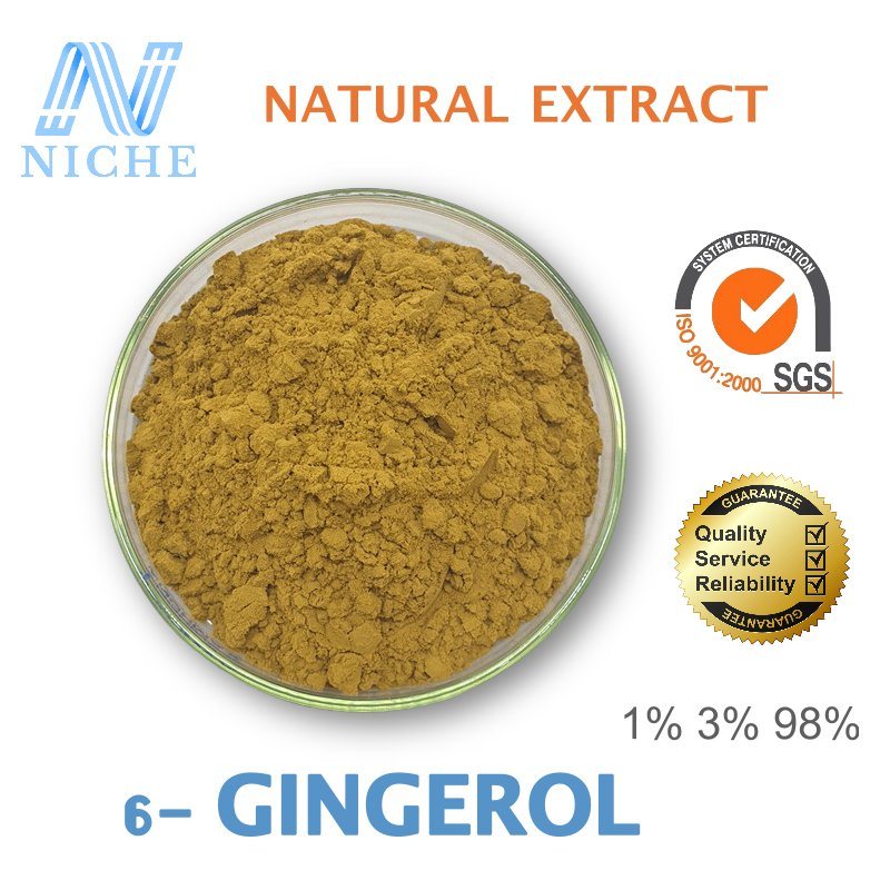 Herbal Medicine Ginger Extract 6-Gingerol Decrease Platelet Viscosity Healthcare Supplements