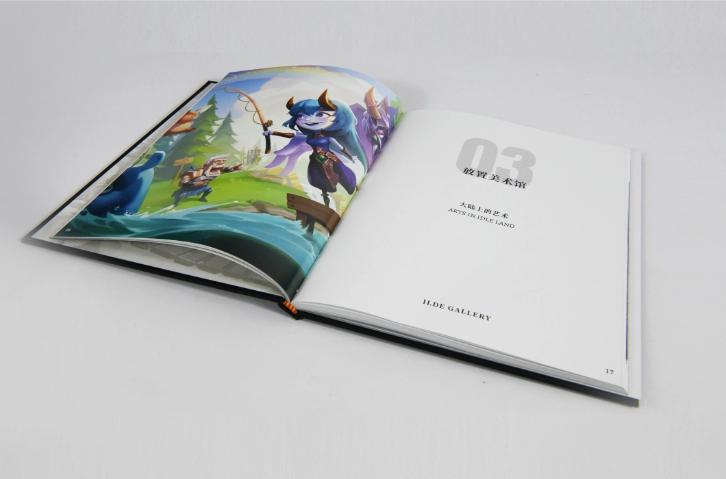 Professionally Designed Custom Game Company Hardcover Books and Company Brochures