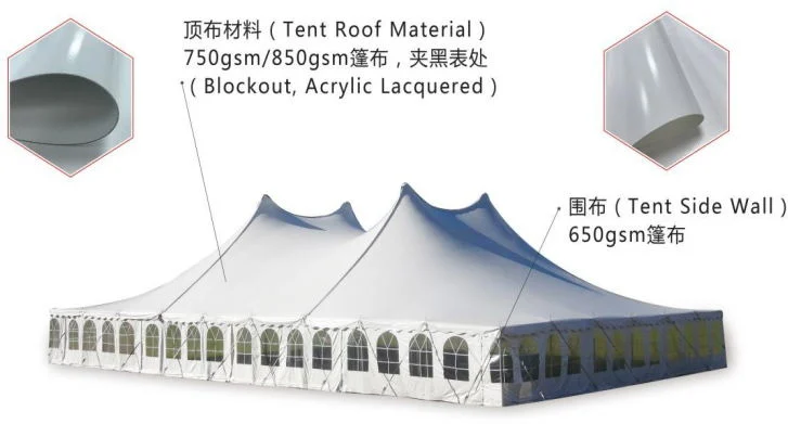 Heavy Duty 10'x30' PVC Canopy Event Tent BBQ Shelter with Removable Side Walls
