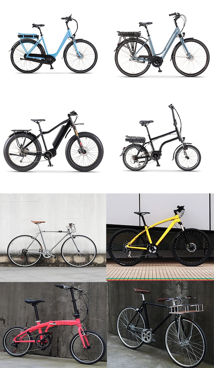 Full Suspension Electric Bike with Central Motor Newest 8 Fun Motor Electric Bicycle