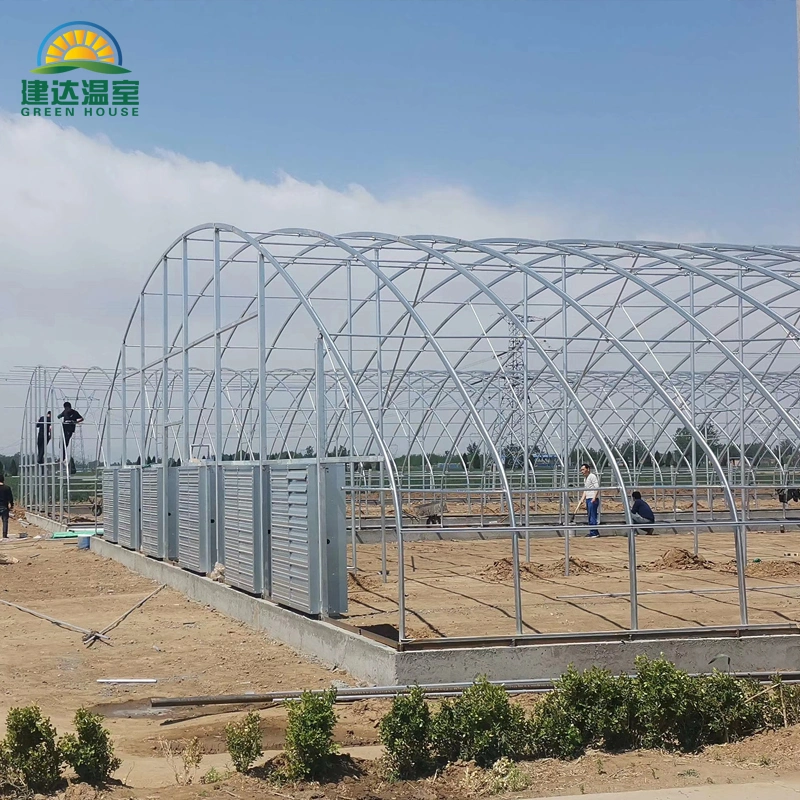 Solar /Tunnel/ Green House/ Greenhouse/Growing Tent/Greenhouses with Hydroponics/Irrigation System