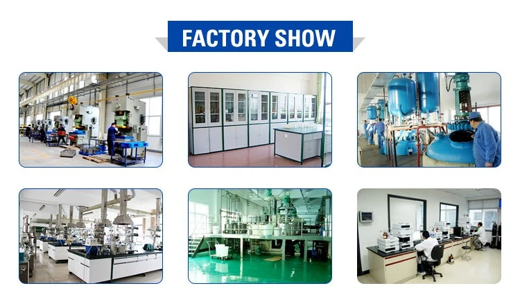 Factory Supply High Quality N-Cbz-D-Leucine Powder CAS. 28862-79-5 99% Purity
