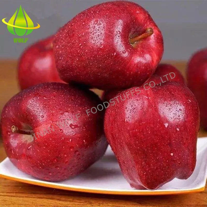 Red Fresh Huaniu Apple/FUJI Apple/Qinguan Apple/Gala Apple/Green Apple/Red Star Apple