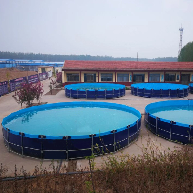 PVC Canvas Fish Tank Farming and Round Fish Pond Tank for Fish Projection
