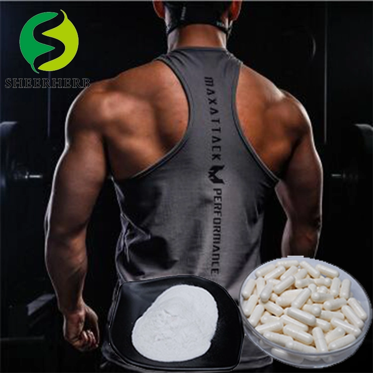 ISO Certification CAS 5589-96-8 Bcaa Amino Acid 2: 1: 1 Pure Bcaa Supplement Powder High Quality Bcaa Sport Nutrition for Drink with Free Sample