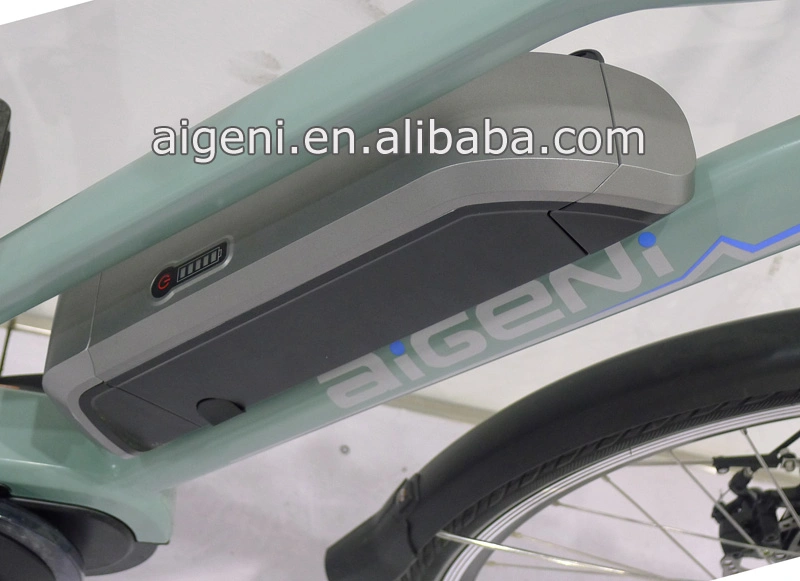 High Quality Bafang Central System Electric Bicycle E Bike