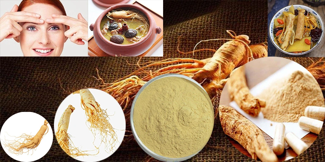 Sheerherb Top Quality Herbal Extract Ginsenoside10%~80% Panax Ginseng Root Extract