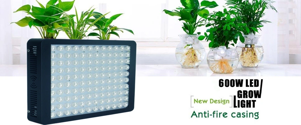 Newest Full Spectrum 600W LED Grow Light for Greenhouse/Garden/Tent