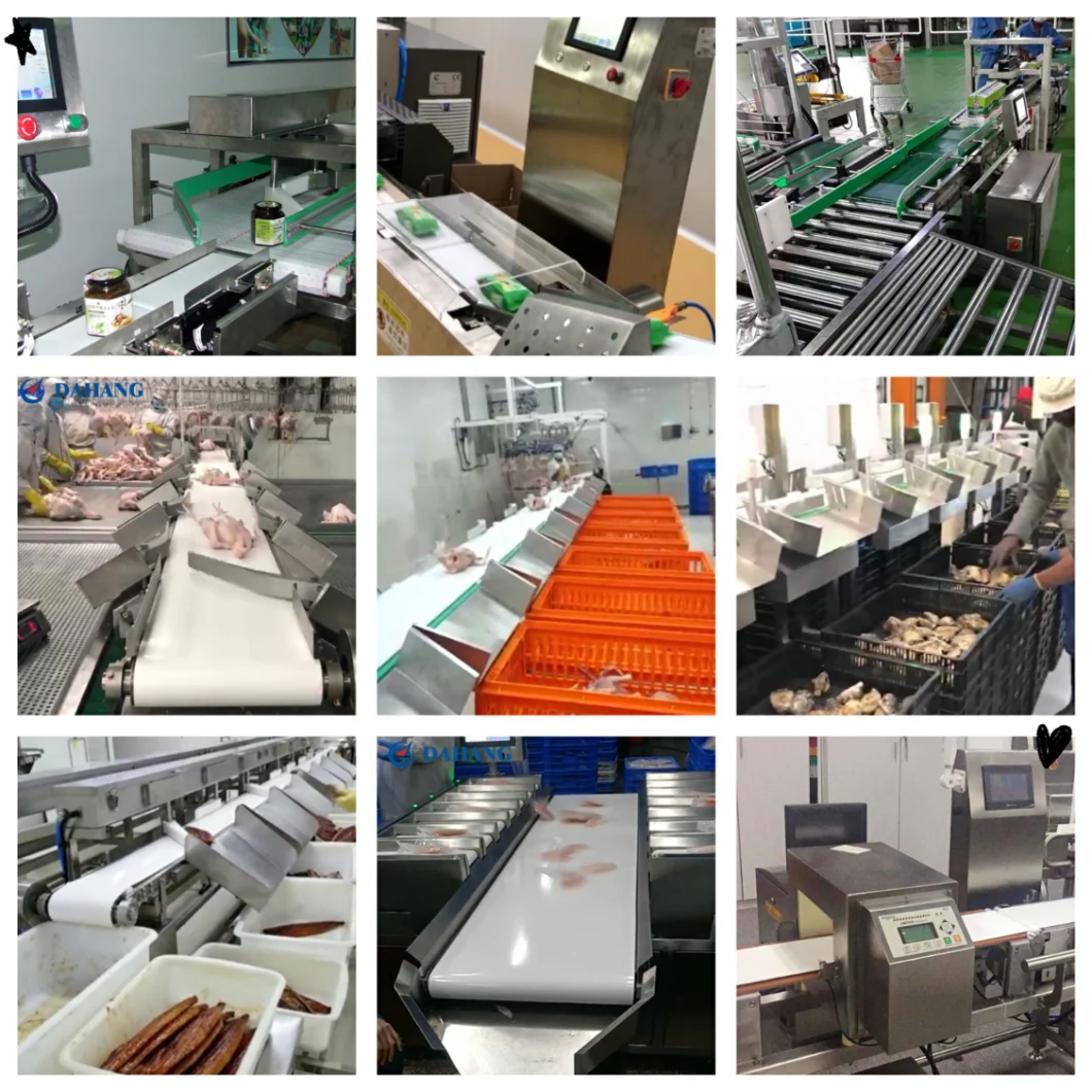 Checkweigher Equipment for French Dressing / Ketchup Production Line