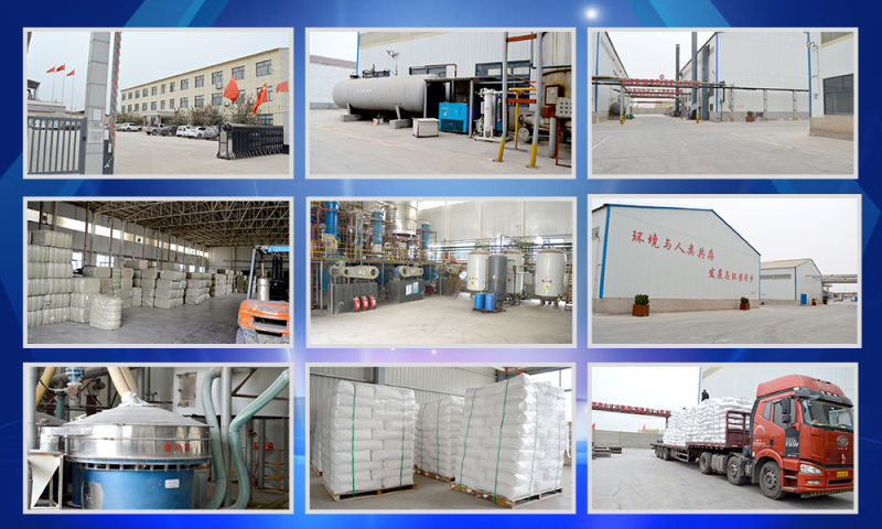 China Factory Directly-Sale HPMC (Cellulosehydroxypropyl methyl ether)