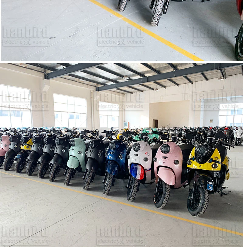 Good Looking Popular Electric Scooter 1000W 1500W 2000W Gk in Stock for Sale