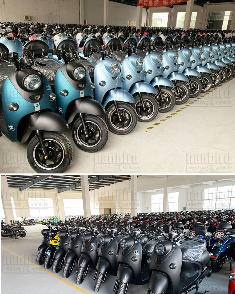 Good Looking Popular Electric Scooter 1000W 1500W 2000W Gk in Stock for Sale