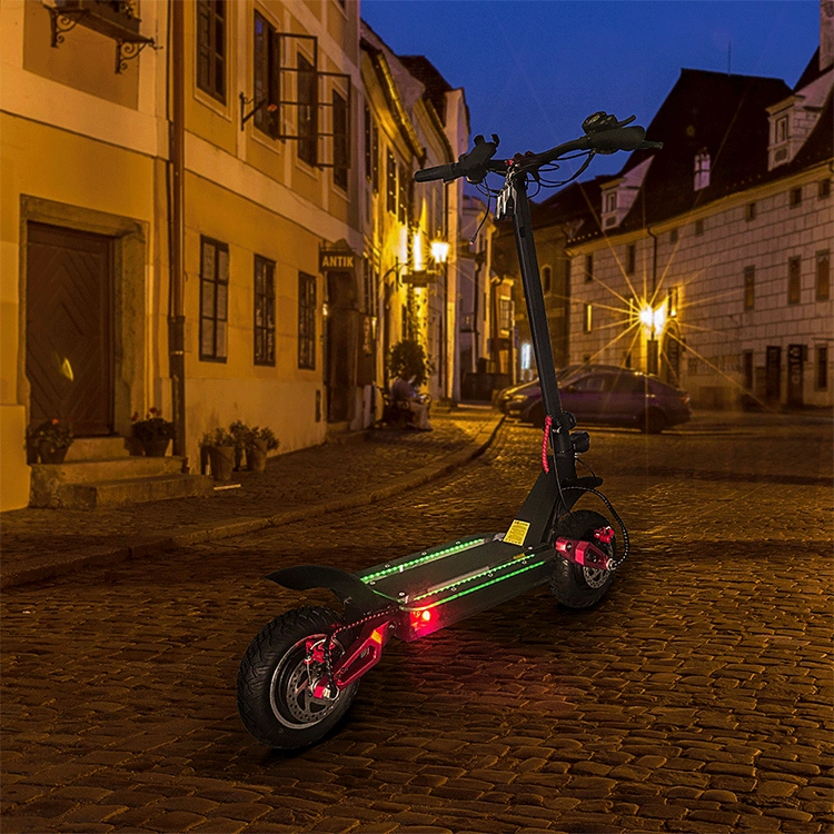 Ecorider Electric Scooter 2000W 3600W, Foldable Scooter Electric Price From China Factory