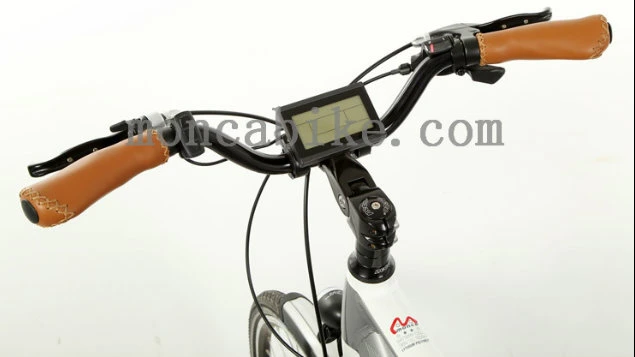 Family E-Bikes E-Bicycle Electric Bike Scooter Motorcycle 250W 36V Li-Battery Samsung Sony Brand