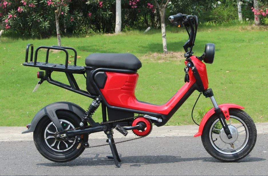 Long Range Low Price Pedal Assistant Electric Bike Scooter