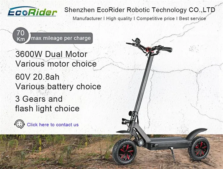 3600W Adult Electric Scooter Speed 75km/H Double Motors 10-Inch Scooter