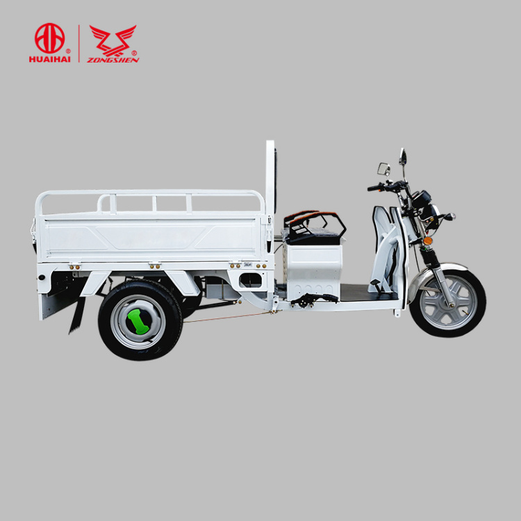 EEC Certificated Electric Motorcycles for Cargo Delivery