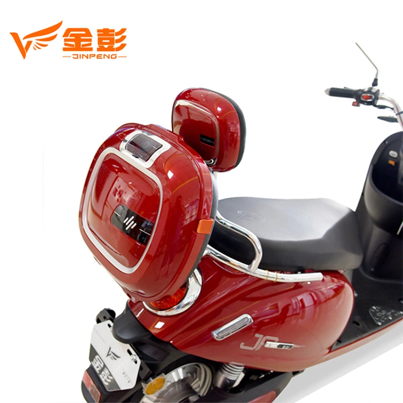 600 Watts Powerful Electric Scooter Motorcycle for Woman